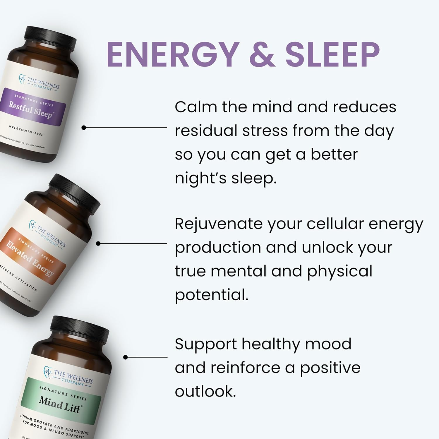 The Wellness Company Elevated Energy | 120 Capsules (2 Month Supply) | Natural Energy Booster with Herbal Extracts | Non-GMO, Vegan, Gluten Free - Image 7