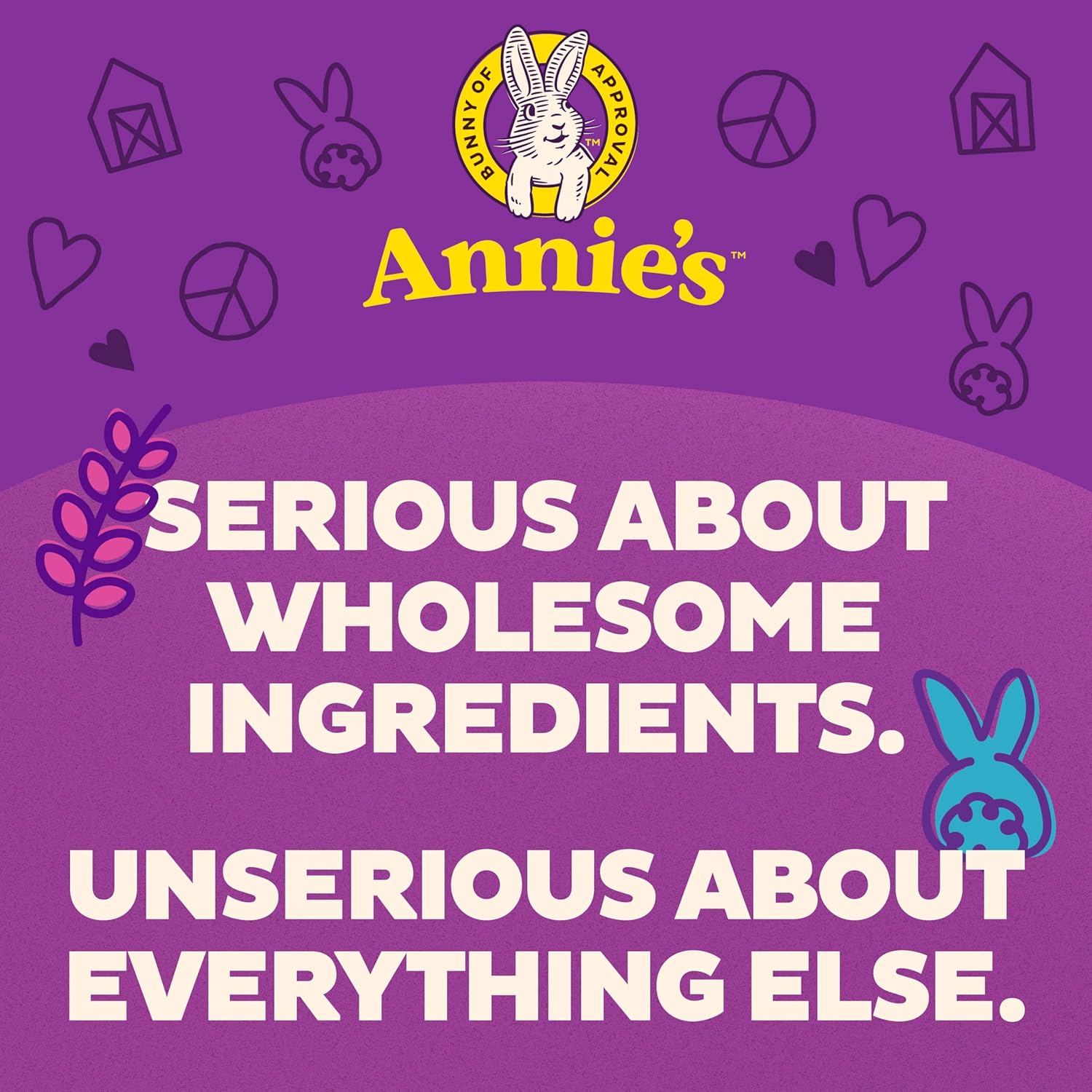 Annie's Organic Variety Pack, Cheddar Bunnies, Bunny Grahams and Cheddar Squares, 12 Pouches, 11 oz - Image 5